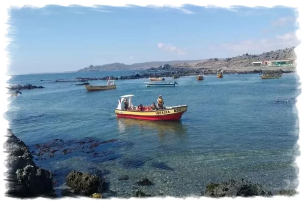 Chañaral de Aceituno, boat trips to Isla Chañaral for Whale Watching
