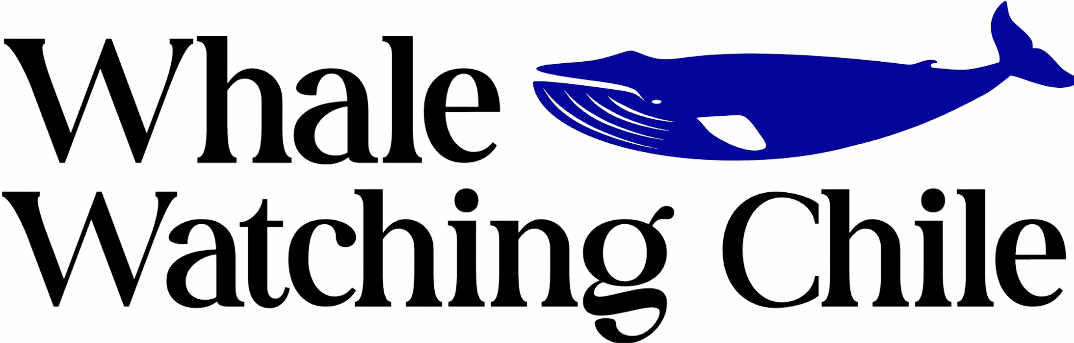 Logo Whale Watching Chile